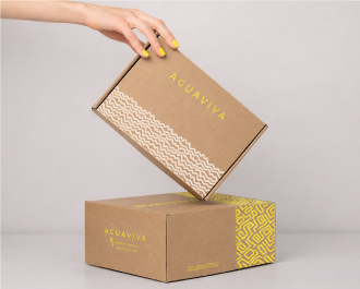 کارتن های کرافت